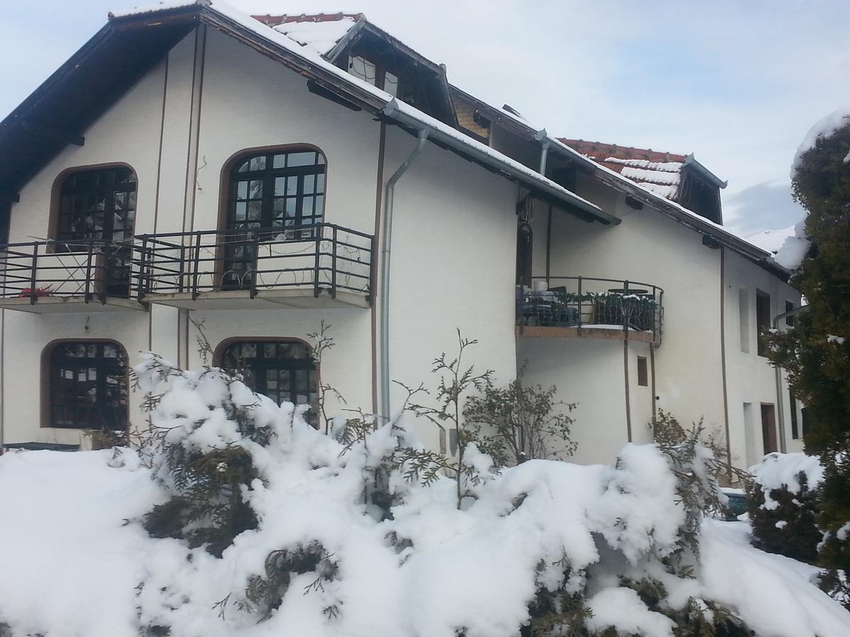 Vila Stojkovic Zlatibor Dış mekan fotoğraf